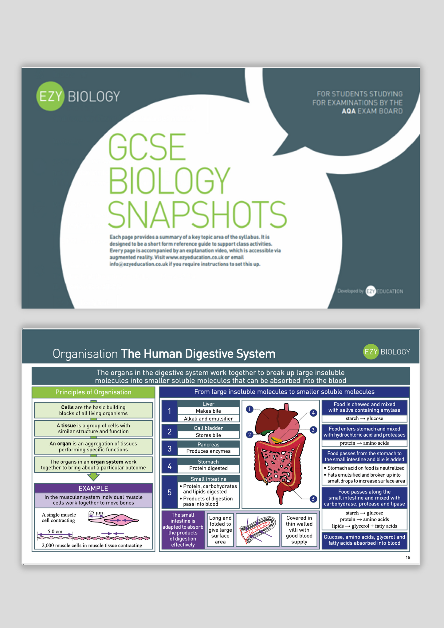 Biology Recap Booklet - EzyScience - GCSE - Biology Higher